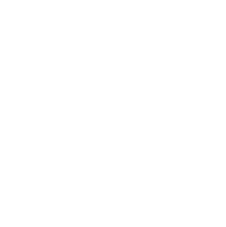 Comprehensive-Project-Roadmap